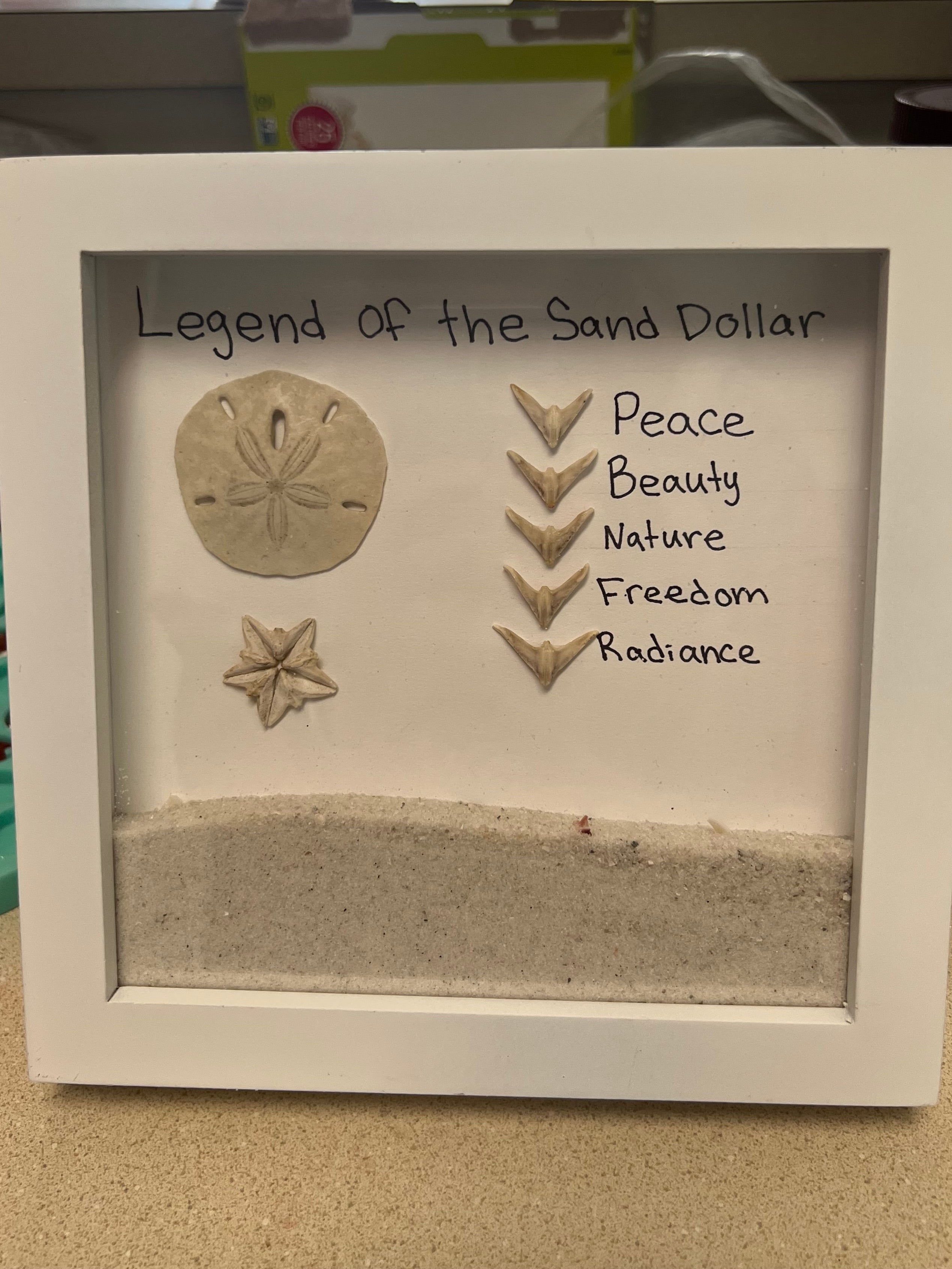 Ocean Dove Earrings - Real Sand Dollar Doves