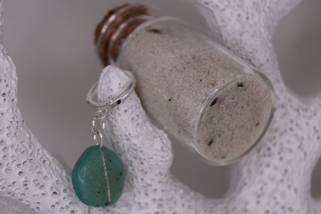Sand Dollar Earrings